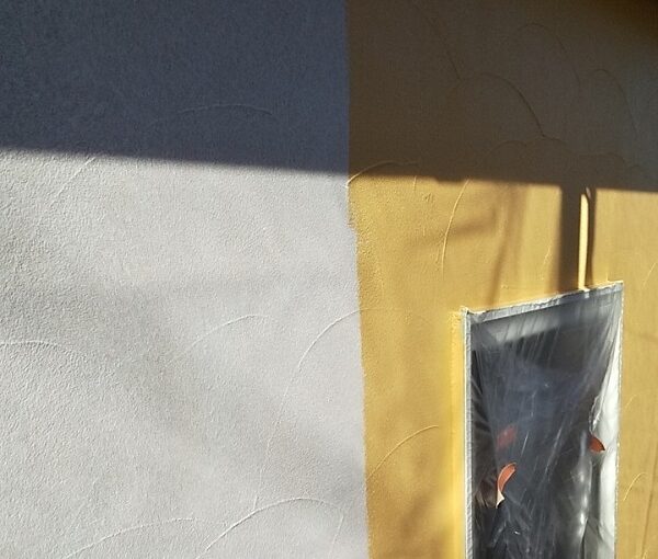 埼玉県川口市　K様邸　屋根塗装　外壁塗装　モルタル外壁の塗装　水系ファインコートフッ素 (2)