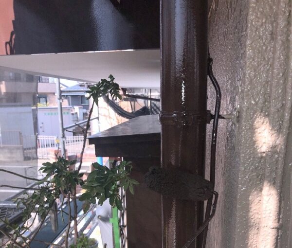 埼玉県鴻巣市　F様邸　屋根塗装・屋根カバー工法・外壁塗装　鼻隠し・破風板・雨樋塗装 (11)