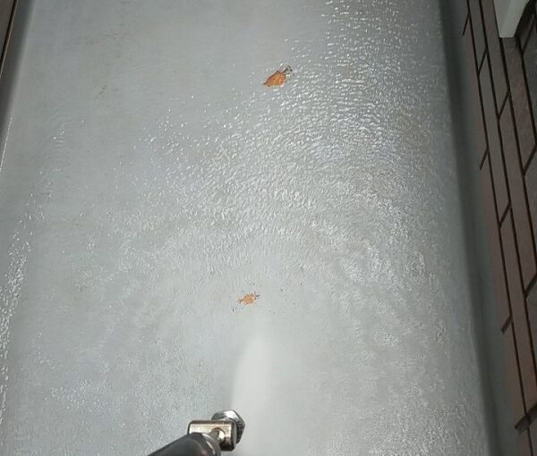 茨城県古河市　Y様邸　外壁塗装・付帯部塗装　下地処理　高圧洗浄 (2)
