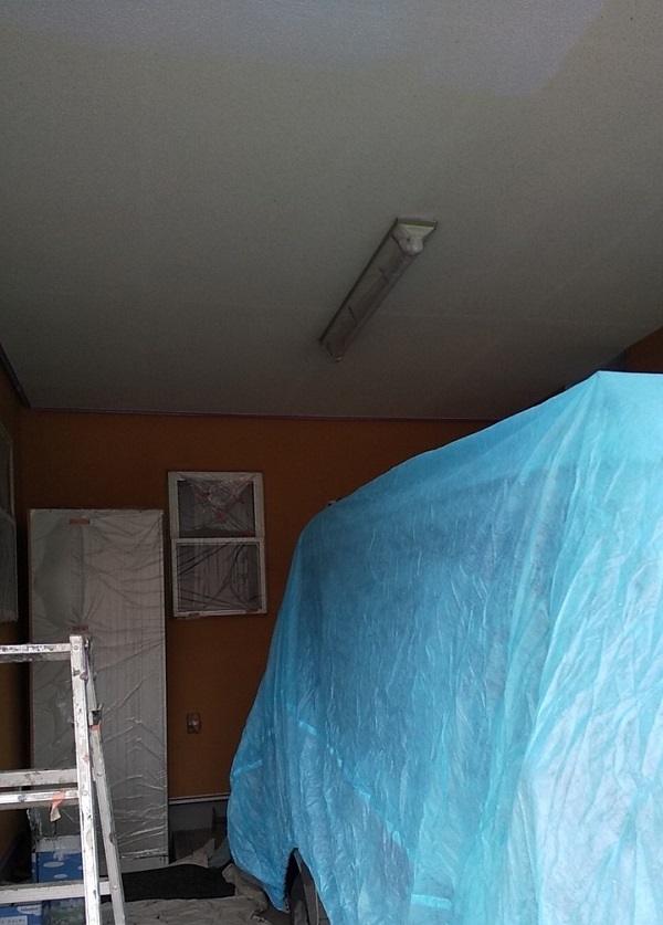埼玉県川口市　K様邸　屋根塗装　外壁塗装　軒天塗装　付帯部とは　軒天の劣化を放置するとどうなるか (5)
